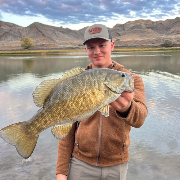 Meet your Posher, Colby - Picture 1 of 1